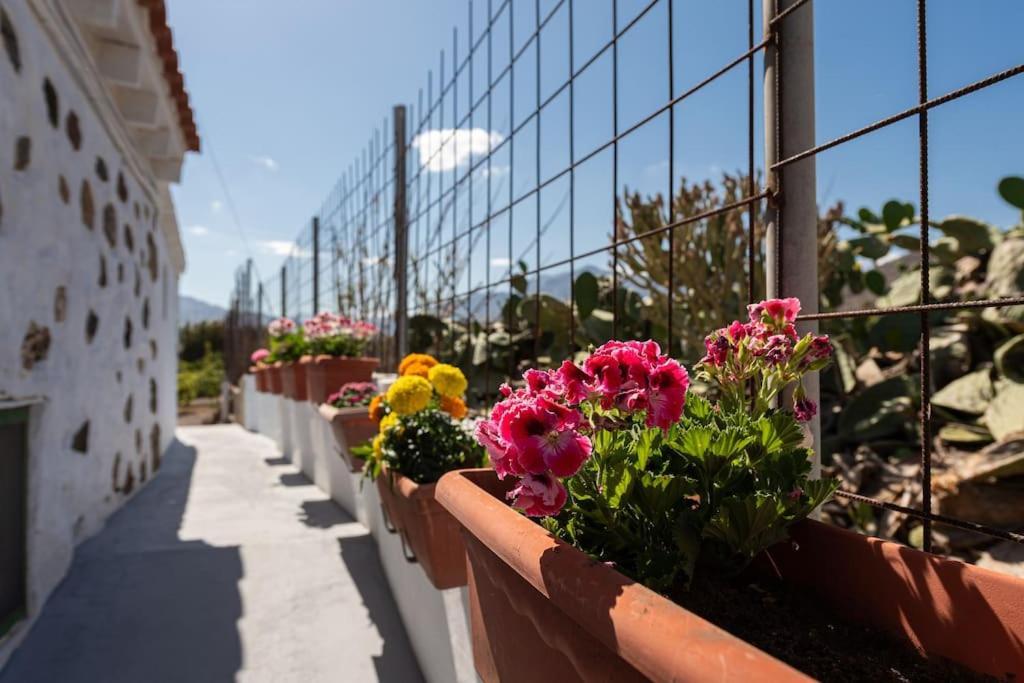 Vivienda Vacacional Ca' Pepita Y Jose El Albercon Екстериор снимка