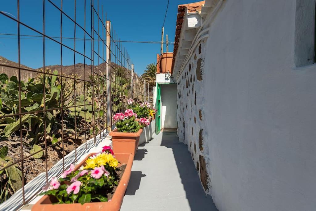 Vivienda Vacacional Ca' Pepita Y Jose El Albercon Екстериор снимка